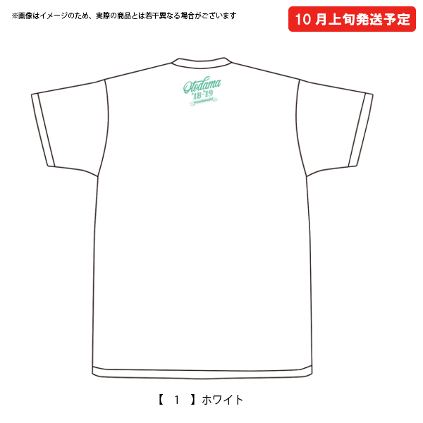 OTODAMA’18-’19～音泉魂～