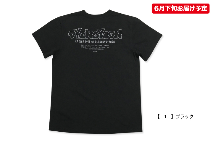 EOW Tシャツ 6枚セット DIESEL 【値下げ】DIESEL プリントTシャツ A02978 ブラック